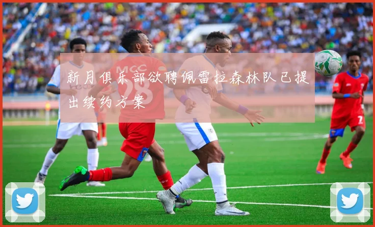 新月俱乐部欲聘佩雷拉森林队已提出续约方案